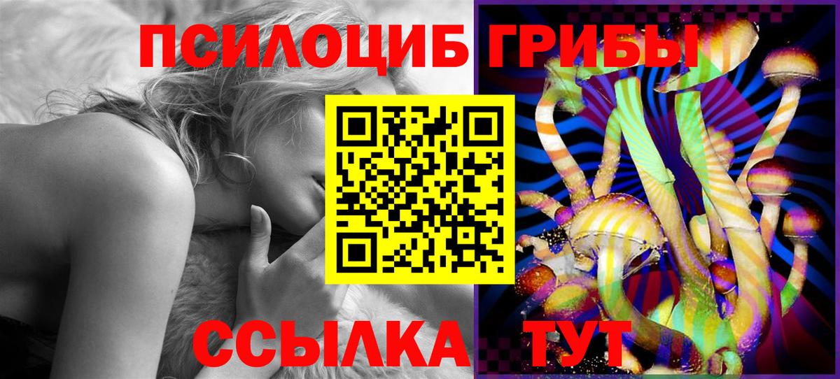 Карачаевск  Псилоцибиновые грибы GOLDEN TEACHER  Вход с VPN 